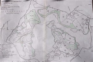 Plan mit nummerierten Feldern zwischen Buschland und Wald, gezeichnet von MN-Vereinspräsident Hermann Bösch.